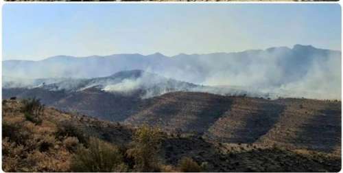 آتش به جان کوه‌های فیروزآباد افتاد