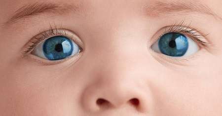 آیا می توان با تغذیه رنگ چشم نوزاد را رنگی کرد؟