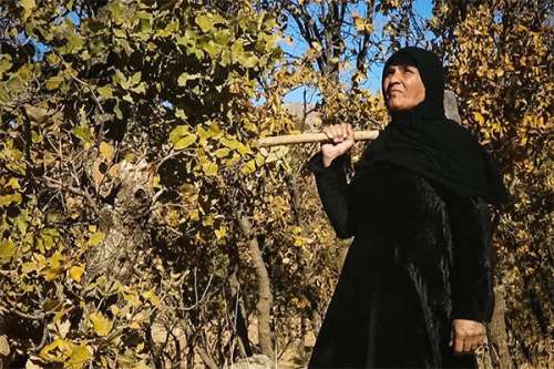 زن ایرانی سرباز عراقی را با تبر کشت