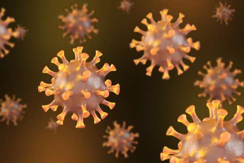 آیا همه‌گیری کووید-۱۹ باعث انقراض ویروس آنفلوآنزا شده است؟