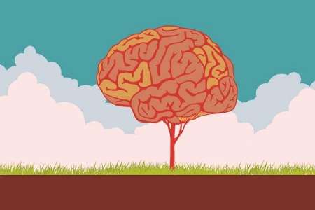 نوروپلاستیسیتی: چگونه از قابلیت شکل پذیری مغز خود استفاده کنیم؟