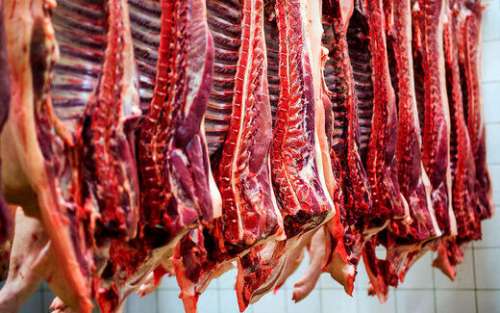 قیمت انوع گوشت قرمز در بازار