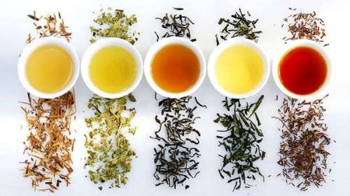 چای سیاه، سبز، سفید یا چای ترش، کدام بهتراست؟