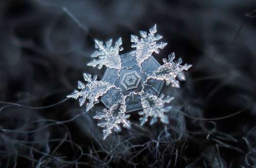 ​عکس‌های فوق‌العاده عکاس روسی از دانه‌ها‌ی برف