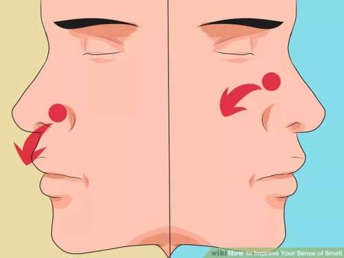 چگونه حس بویایی خود را تقویت کنیم؟