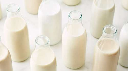 کدام شیر گیاهی برای سیاره زمین بهتر است؟