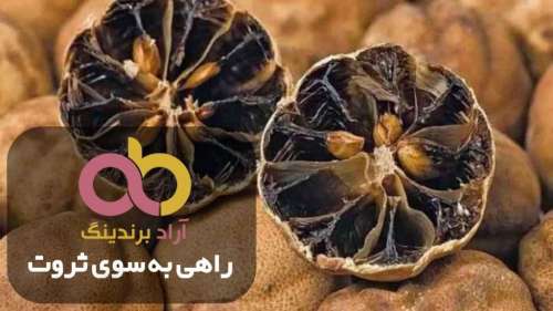 قیمت لیمو عمانی حلقه ای جهرم