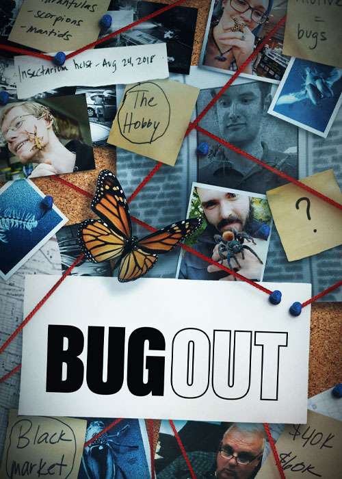 دانلود مستند قاچاق حشرات Bug Out 2022