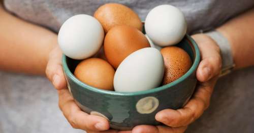 چرا تخم مرغ یک سوپرغذاست و چگونه در غلبه بر بیماری کمک می‌کند؟