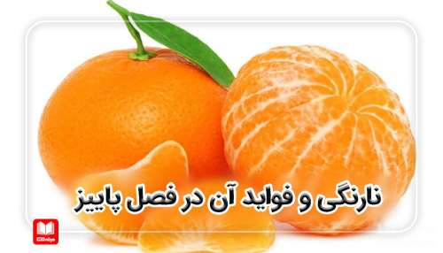 نارنگی و فواید آن در فصل پاییز