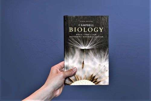 توضیحات برای خرید کتاب بیولوژی کمپبل اثر نیل آلیسون کمپبل (زیست‌شناسی)