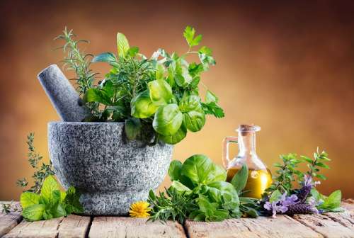 آنتی بیوتیک‌های گیاهی را بشناسید