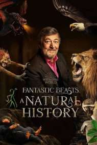 دانلود مستند Fantastic Beasts A Natural History 2022