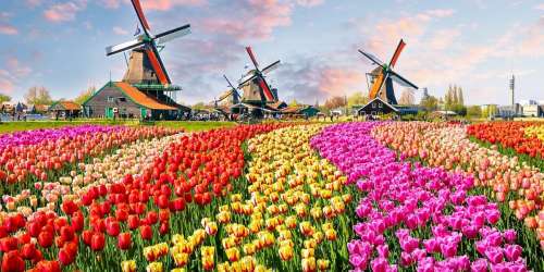 جاذبه های گردشگری هلند؛ زیباترین مناطق دیدنی کشور هنر و فرهنگ