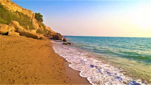 ساحل ریشهر ، ساحلی چشم نواز در حاشیه خلیج فارس