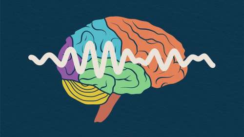 خواب چگونه برای مغز مفید است؟ + ویدیو