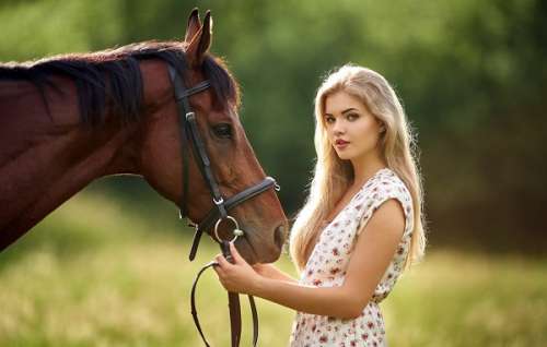 متن و شعر در مورد اسب و جملات جالب در مورد حیوان زیبای اسب با عکس های زیبا