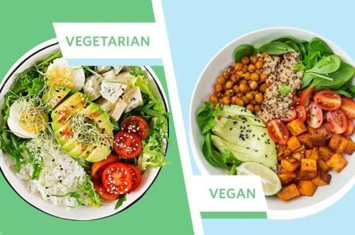 فرق بین وگان ها و گیاهخواران چیست؟