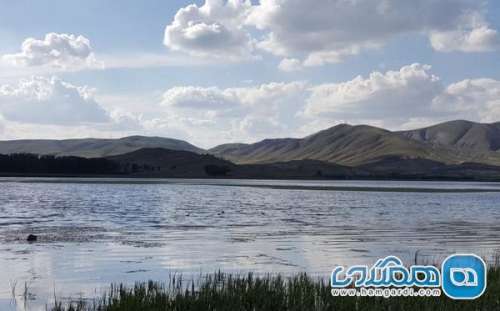 تالاب یانیق یکی از جاذبه های طبیعی آذربایجان شرقی به شمار می رود