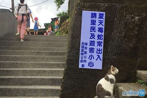 روستای هوتانگ تایوان؛ روستایی که توسط گربه ها نجات داده شد