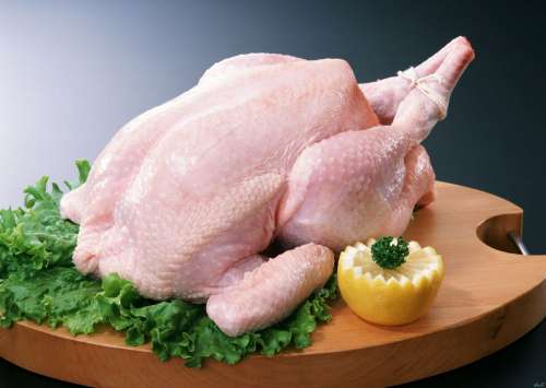 کولاک قیمت مرغ در بازار امروز | افزایش 2 برابری قیمت مرغ در بازار امروز