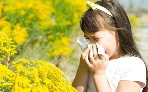 آلرژی به گرده در کودکان؛ علل، علائم و درمان