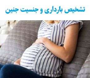 تشخیص بارداری و جنسیت جنین از روی چهره و حالات مادر