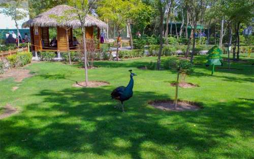 باغ پرندگان مشهد | نخستین و بزرگ‌ ترین باغ پرندگان در کشور