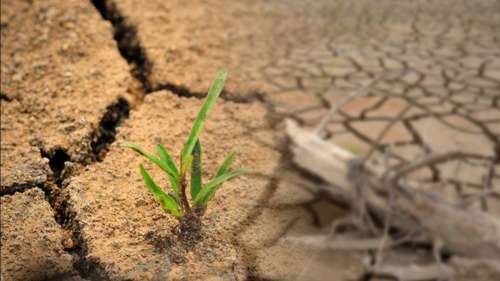 انشا در مورد روز جهانی مبارزه با بیابان زایی و خشکسالی