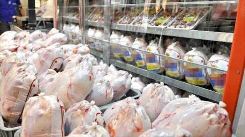 قیمت مرغ سر به فلک کشیده | قیمت مرغ به نرخ امروز بازار تهران را بهم ریخته!!