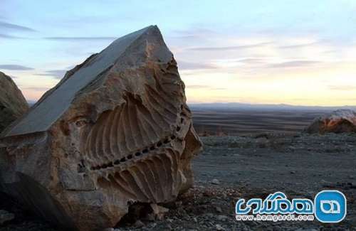 موزه فسیل های دریایی یکی از جاهای دیدنی استان همدان است