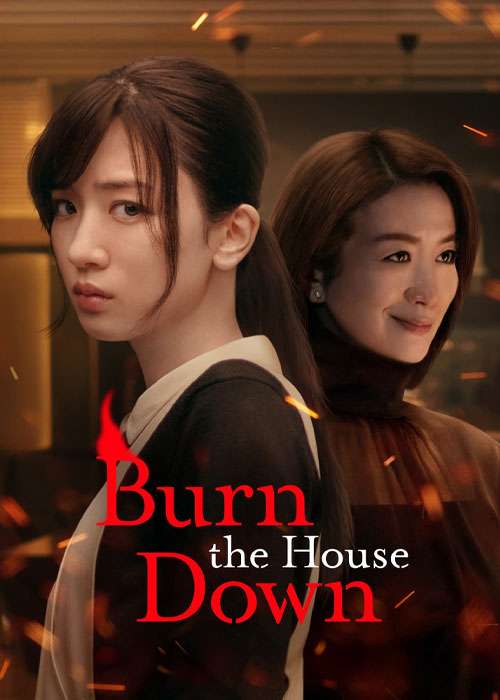 دانلود سریال Burn the House Down 2023