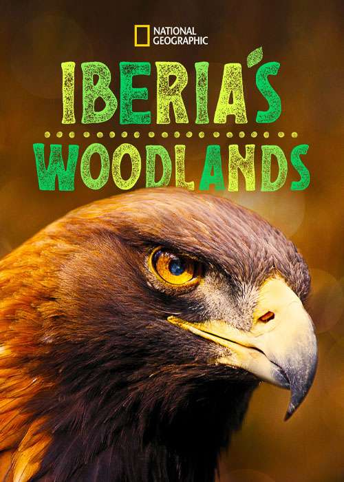 دانلود مستند Iberia’s Woodlands: Life on the Edge 2021