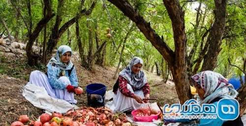 جشن انار در روستای انبوه رودبار