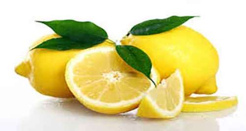 هسته لیمو ترش را چگونه بکاریم و دستور کاشتن هسته لیمو ترش