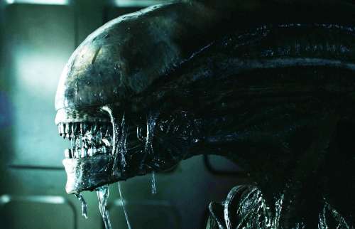 سریال Alien احتمالا تا سال ۲۰۲۵ پخش نمی‌شود