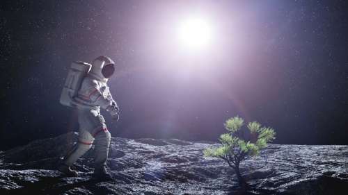 میکروب زمین به فضانوردان کمک می‌کند تا در خاک ماه گیاه پرورش دهند
