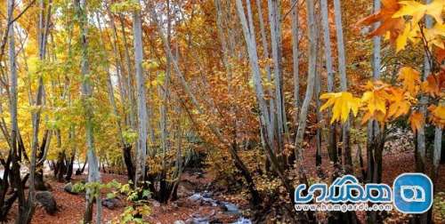 نگاهی به زیبایی های فصل پاییز در یاسوج