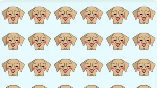 تست بینایی: آیا می توانید سگ متفاوت را در 11 ثانیه تشخیص دهید؟