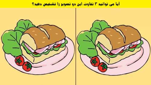 اگر بینایی خوبی داری، 3 تفاوت این دو ساندویچ را تشخیص بده!