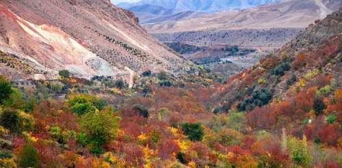 نگاهی به زیبایی های پاییز هزار رنگ در روستای شیت