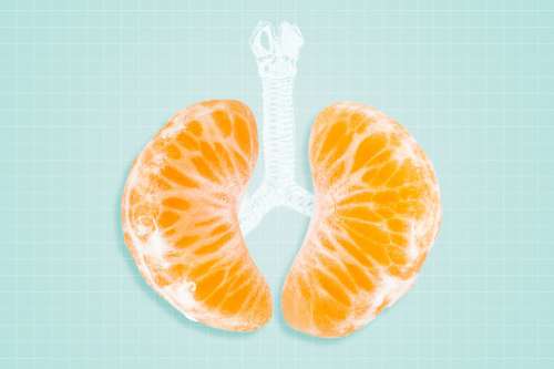 سلامت ریه در دست طبیعت: ۱۲ میوه برای مقابله با عفونت‌ تنفسی