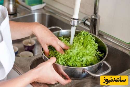 نکات طلایی برای نگهداری سبزی خوردن در یخچال برای طولانی مدت
