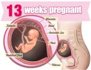 هفته سیزدهم بارداری + وضعیت مادر و جنین