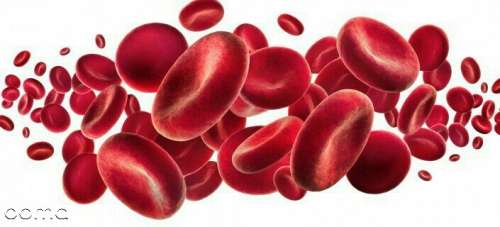 کم خونی چیست و علائم کم خونی کدامند؟