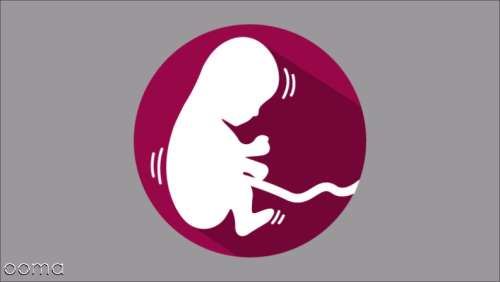 چگونه بفهمیم جنین در شکم زنده است؟