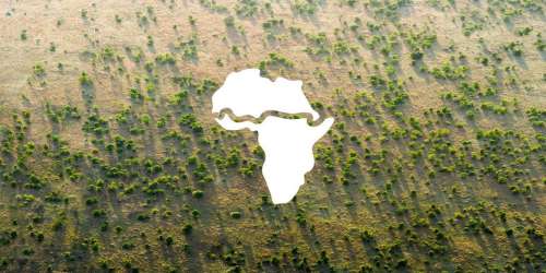 ساخت «دیوار سبز بزرگ» در صحرای آفریقا؛ هشتمین عجایب با میلیون‌ها هکتار وسعت