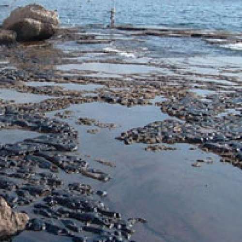 عامل آلودگی‌های دریای خزر چیست؛ صنعت، شهر یا پسماند؟