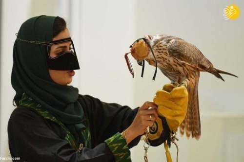 علاقه زنان سعودی عربستان به شاهین شکاری!!