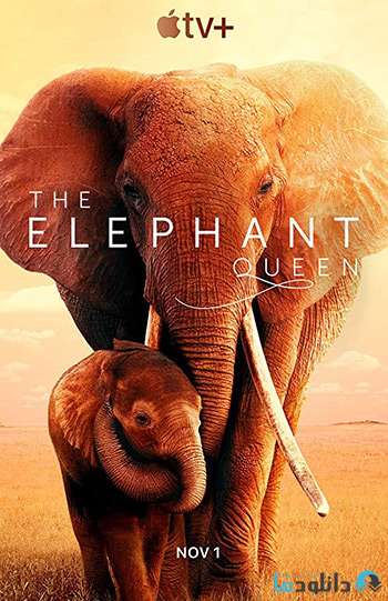 دانلود مستند The Elephant Queen 2019 – ملکه فیل